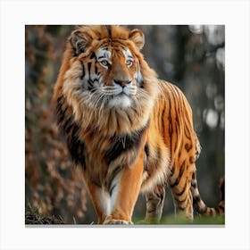 Lioniger Canvas Print