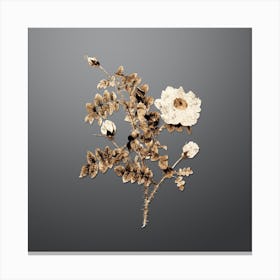 Gold Botanical White Burnet Roses on Soft Gray n.2927 Canvas Print