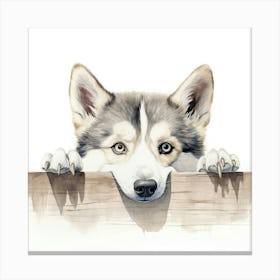 Siberian Husky 2 Canvas Print