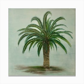 Canary Palm Canvas Print