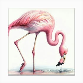 Pink Flamingo 7 Canvas Print