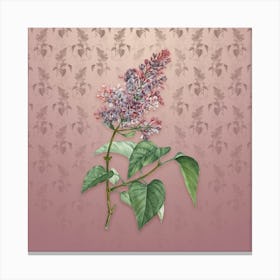 Vintage Common Pink Lilac Plant Botanical on Dusty Pink Pattern n.0748 Canvas Print