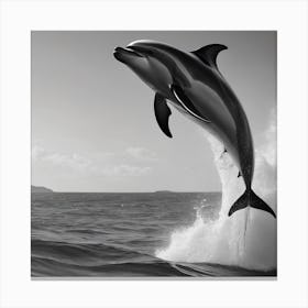 Dolphin Leaping Out Of The Water Canvas Print