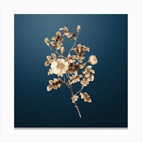 Gold Botanical Yellow Sweetbriar Rose on Dusk Blue n.3749 Canvas Print