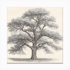 Antique Tree Drawing ,Printable art Canvas Print