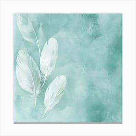 White Feathers 1 Canvas Print