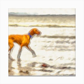 Dog On The Beach 1 Canvas Print