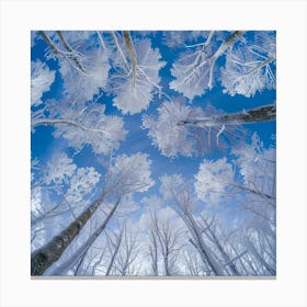 Frosted Trees Canvas Print