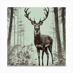 Deer In The Woods 9 Canvas Print