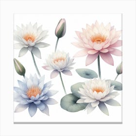Water lily Canvas Print