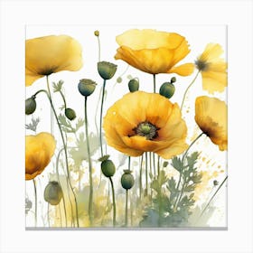 Yellow watercolour Poppies Canvas Print