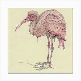 Pink Ibis Canvas Print