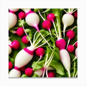 Radishes 40 Canvas Print