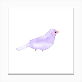 Blushing Bird Purple 2 Square Canvas Print