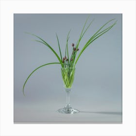 Grass In A Glass Canvas Print