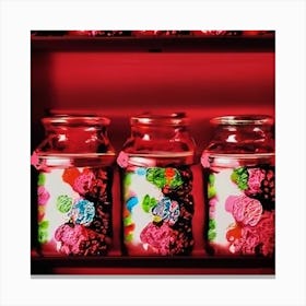 Sweets In Jars Canvas Print