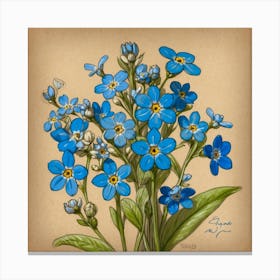 Forget Me Not Canvas Print