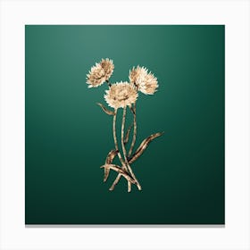 Gold Botanical Helichrysum Flower Branch on Dark Spring Green n.3644 Canvas Print