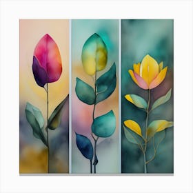 Three Tulip Flowers Canvas Print