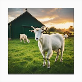 Goats In The Field At Sunset Canvas Print