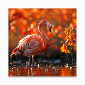 Flamingo 5 Canvas Print