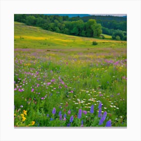 Wildflowers In The Meadow, Landscape Of A Meadow With Wildflowers In Bloom art print 1 Canvas Print