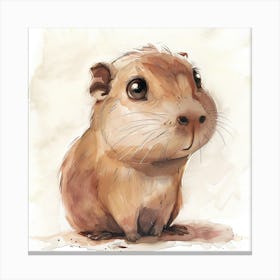 Guinea Pig Canvas Print