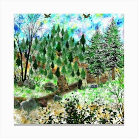 Spruce Forest Canvas Print