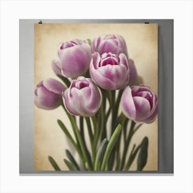 Tulips Canvas Print