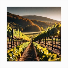 Vineyards At Sunset 4 Canvas Print