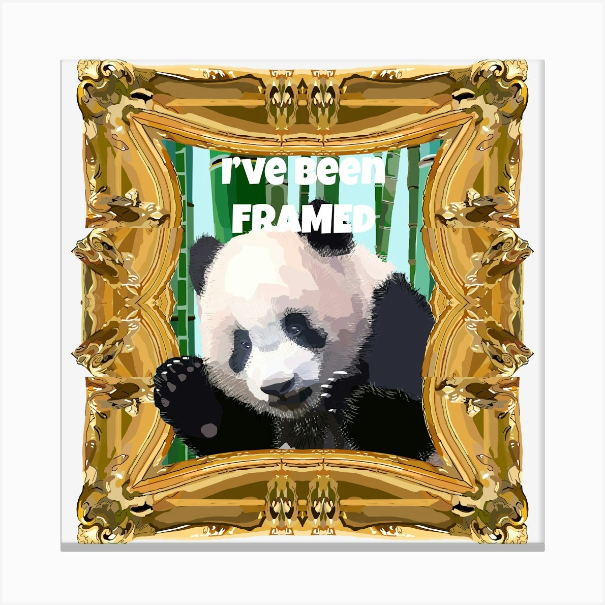 I'Ve Been Framed 1 Canvas Print by Lynnda Rakos