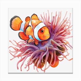 Clownfish And Anemone Canvas Print