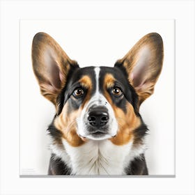 Portrait Of A Corgi Canvas Print