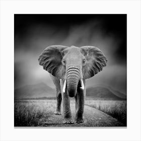 Elephant In The Grass Canvas Print