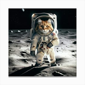 Main Coon On The Moon Canvas Print