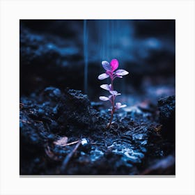 Nature in another galaxy V1 Canvas Print