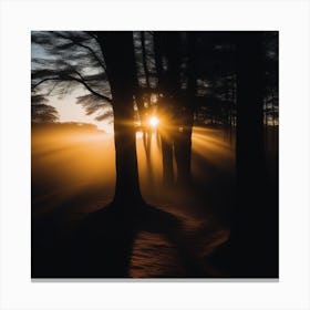 Sunrise In The Forest Canvas Print