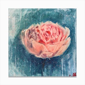 Peony Canvas Print