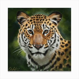 Jaguar Canvas Print