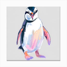 Chinstrap Penguin 07 Canvas Print