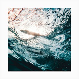 Underwater Seascape Canvas Print