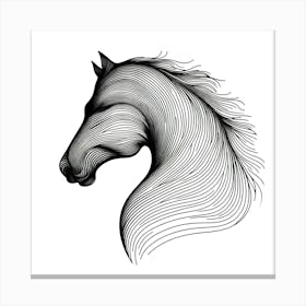 Horse Head 5 Canvas Print