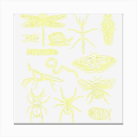 Minibeasts Insects And Invertebrates Drawings Canvas Print