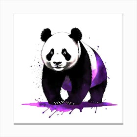 Panda Bear Canvas Print