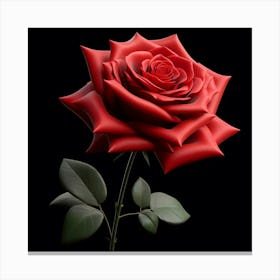 Red Rose 1 Canvas Print