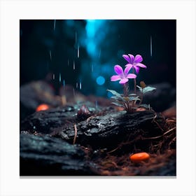 up close on a black rock in a mystical fairytale forest, alice in wonderland, mountain dew, fantasy, mystical forest, fairytale, beautiful, flower, purple pink and blue tones, dark yet enticing, Nikon Z8 Canvas Print