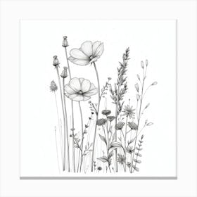 Wildflowers 9 Canvas Print