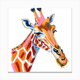 Reticulated Giraffe 03 Canvas Print