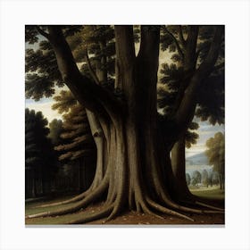 Tree In The Forest 1 Canvas Print