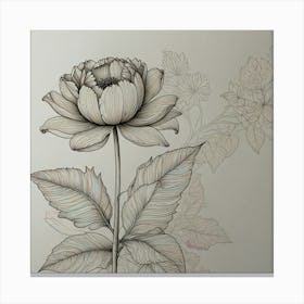 Peony Flower Canvas Print